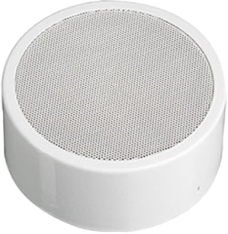 Cabinet Speaker Honeywell 582423 LS DL-A 10-165/T EN54